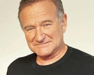 Robin Williams Actor diamond painting
