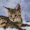 Savannah Cat diamond painting