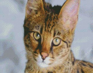 Savannah Cat Face diamond painting