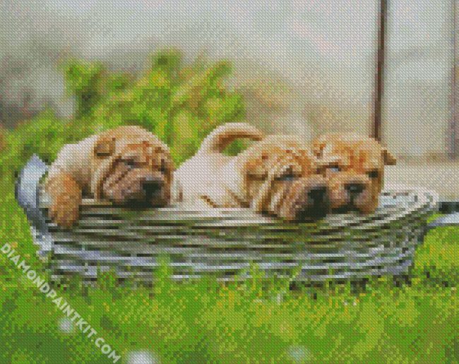 Shar Pei Puppies In Basket diamond painting