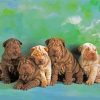 Shar Pei Puppies diamond painting