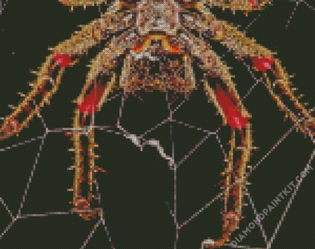 Spider In Web diamond painting