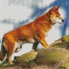 The Dingo Dog diamond painting