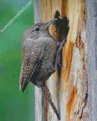 The House Wren Bird Animal diamond painting