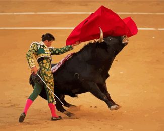 The Spanish Bullfighter diamond painting
