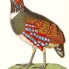 The Partridge Bird diamond painting