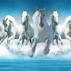 White Seven Horses diamond painting