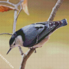 White Breasted Nuthatch diamond painting