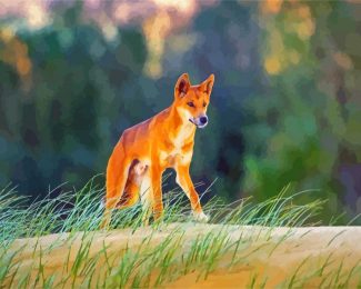 Wild Dingo diamond painting