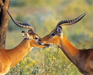 Wild Impalas Antelope diamond painting