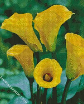 Yellow Calla Lilies diamond painting