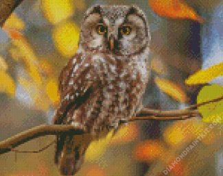 Zimbabwean Owl diamond painting