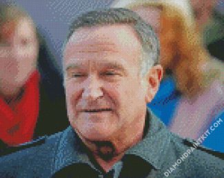 Actor Robin Williams diamond painting