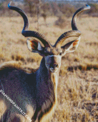 Aesthetic Kudu diamond painting
