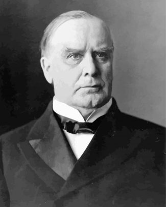 Aesthetic William McKinley diamond painting