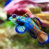 Aesthetic Colorful Fish diamond painting