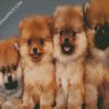 Aesthetic Pomeranian Dogs diamond painting