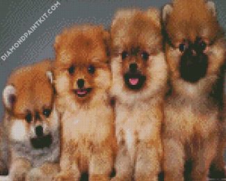 Aesthetic Pomeranian Dogs diamond painting