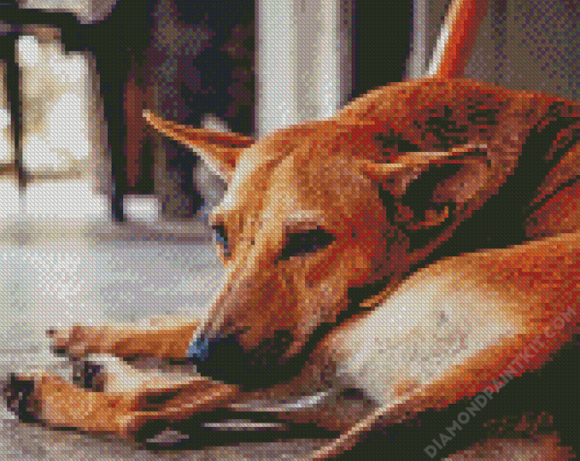 Aesthetic Street Dog diamond painting