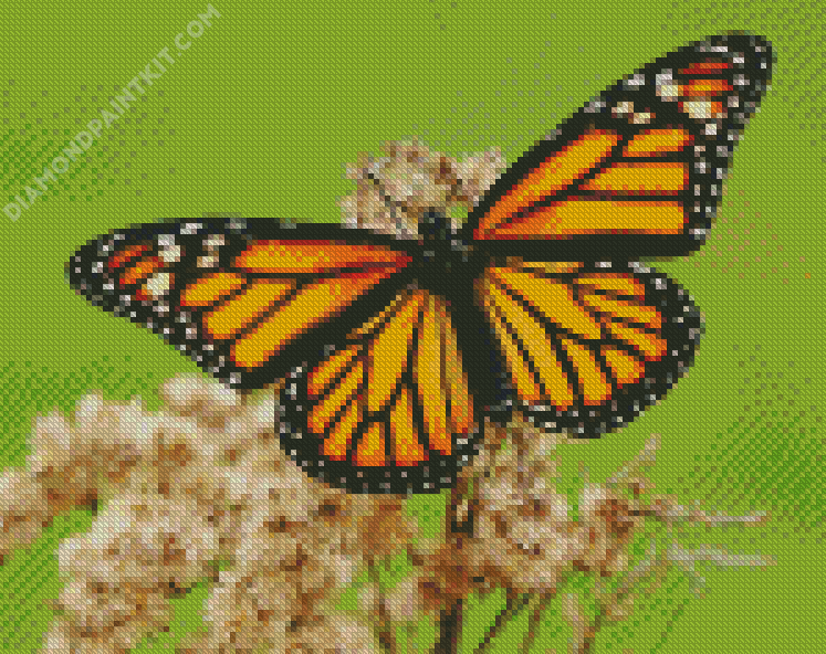 Aestehtic Monarch Butterfly - 5D Diamond Painting 