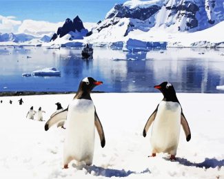Antarctica Penguins diamond painting