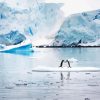 Antarctica Seascapes diamond painting
