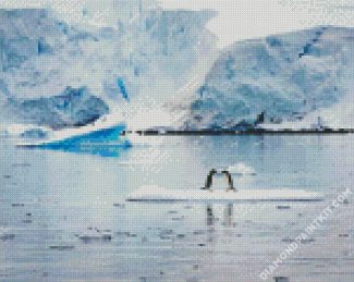 Antarctica Seascapes diamond painting
