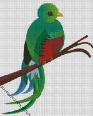 Art Quetzal Bird diamond painting