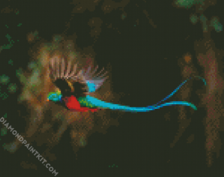 Blue Tail Quetzal diamond painting