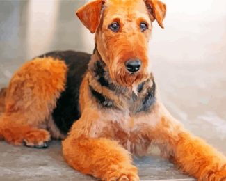 Brown Dog Airedale Terrier diamond painting