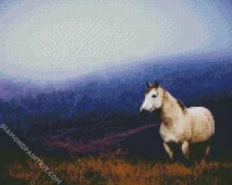Brumby In The Mountains diamond painting