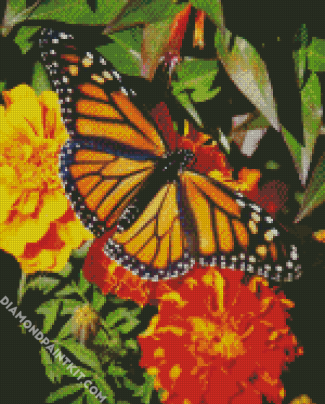Butterfly On Marigolds diamond painting