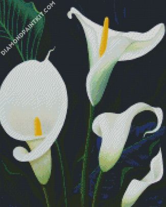 Calla Lily Plants diamond painting