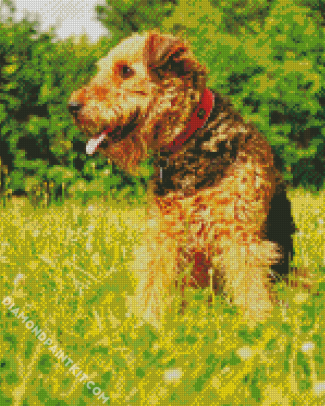 Cute Airedale Terrier diamond painting