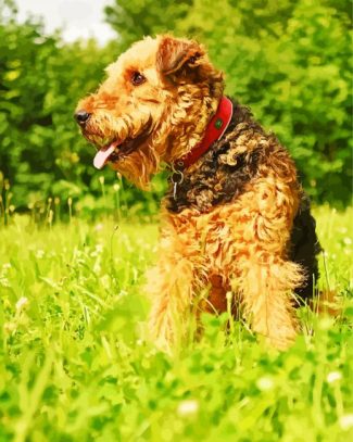 Cute Airedale Terrier diamond painting
