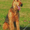 Cute Airedale Terrier Dog diamond painting