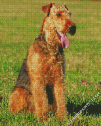 Cute Airedale Terrier Dog diamond painting