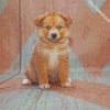 Cute Pomsky Puppy diamond painting