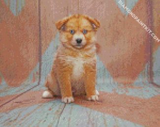 Cute Pomsky Puppy diamond painting