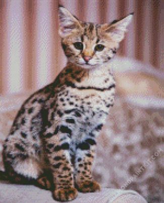 Cute Savannah Cat Animal diamond painting