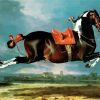 Equestrian Horse diamond painting