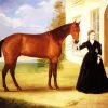 Equestrian Lady diamond painting