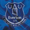 Everton Football Club Logo diamond painting