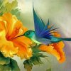 Hummingbird And Yellow Flower diamond painting