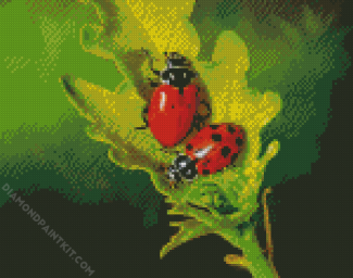 Ladybugs On A Leaf diamond painting