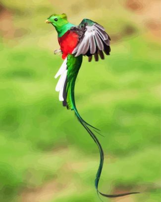 Long Tail Quetzal Flying diamond painting