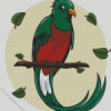 Long Tailed Quetzal Art diamond painting