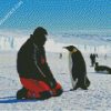Man And Penguins In Antarctica diamond painting