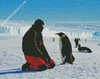 Man And Penguins In Antarctica diamond painting