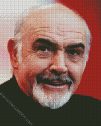 Old Sean Connery diamond painting